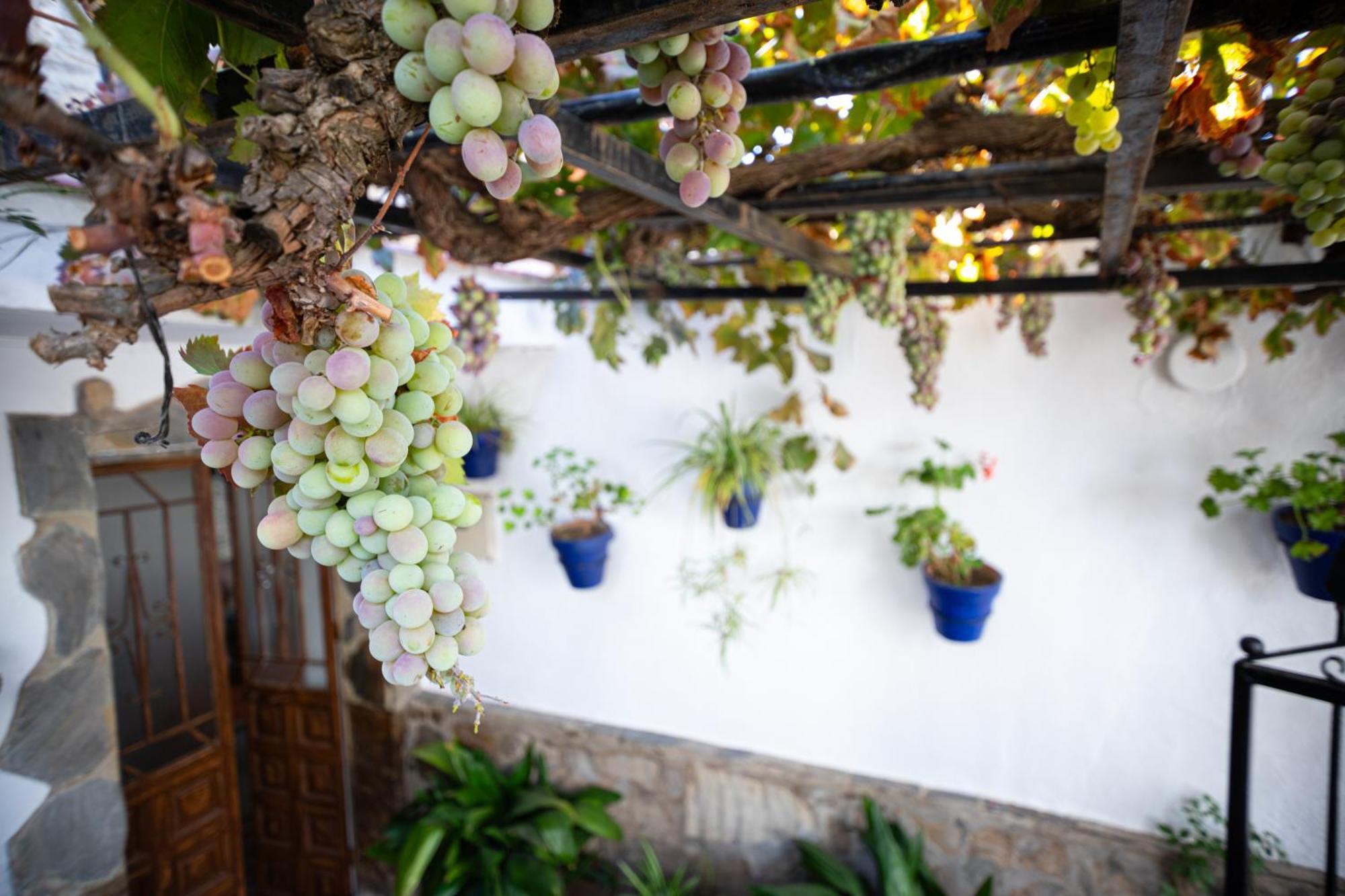 Appartamento The Pava'S House Ronda Esterno foto